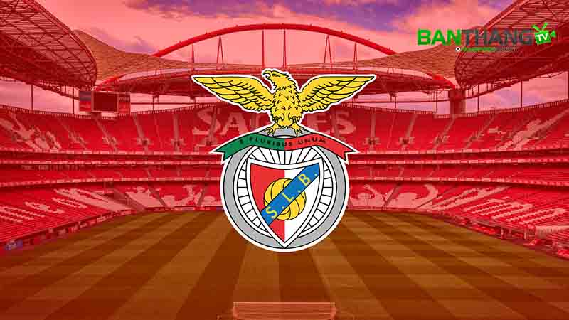 SL Benfica là đội bóng thành công nhất giải đấu