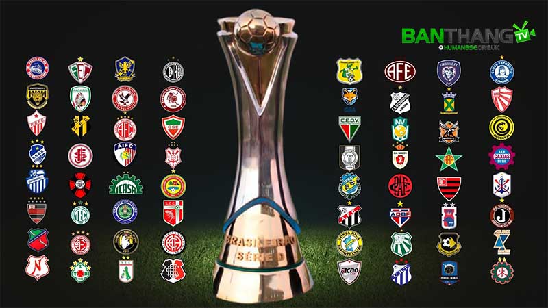 Serie D là cấp cao nhất của Liên đoàn Bóng đá không chuyên Italia